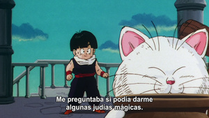 Dragon Ball Z - Película 05: El más poderoso contra el más poderoso